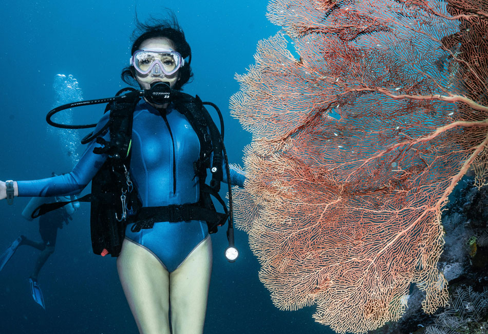 Do You Need a Wetsuit for Diving or Snorkeling in Tahiti?