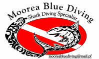 Moorea Diving Center